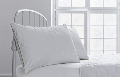 Dacron®  Climarelle® - 580 gr Pillow 