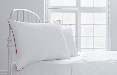 Dacron® 95 - 580 gr Pillow 